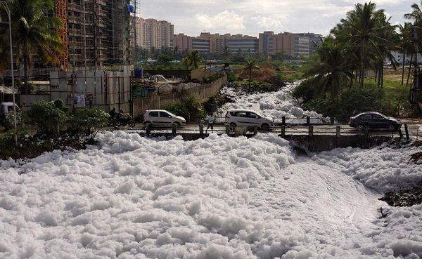 Bengaluru’s Polluted Lakes: Understanding the Water Crisis and Solutions