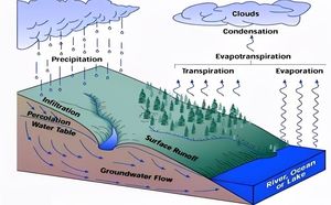 Surface Runoff | Water Management | Ground Water Recharge